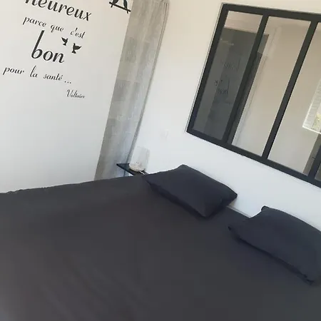 Apartment Cosy T2-gare De *